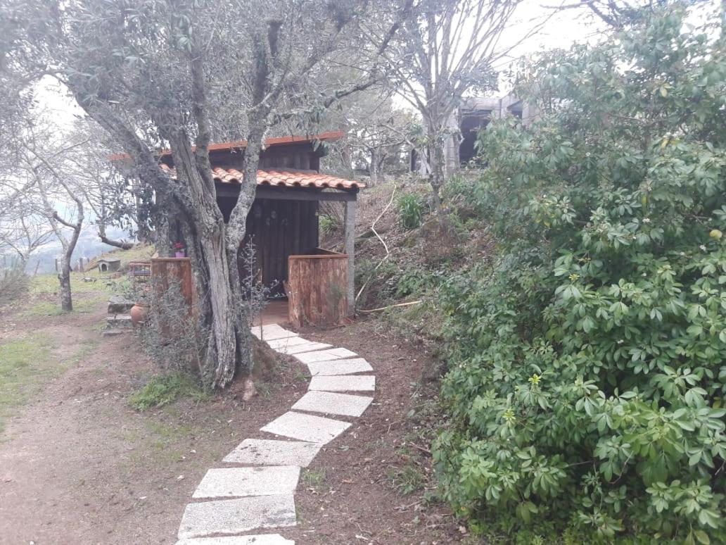 Cabana Da Oliveira Марку-ді-Канавезиш Екстер'єр фото
